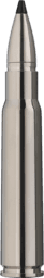 RWS Short Rifle