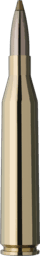 RWS Evolution Green
