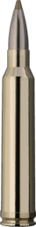 RWS Evolution Green