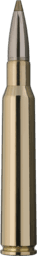 RWS Evolution Green