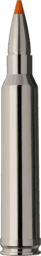 RWS Short Rifle