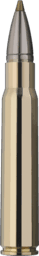RWS Evolution Green