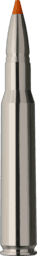 RWS Short Rifle