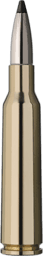 RWS Speed Tip Professional