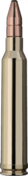 RWS Doppelkern DK