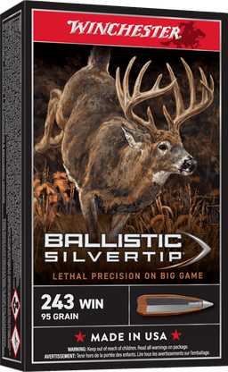 Winchester Ballistic Silvertip