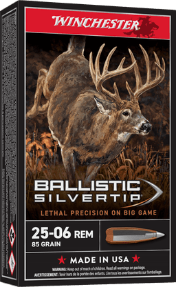 Winchester Ballistic Silvertip