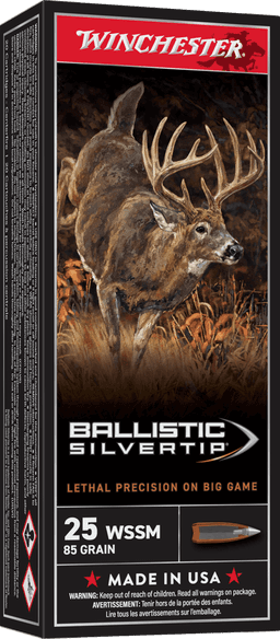 Winchester Ballistic Silvertip