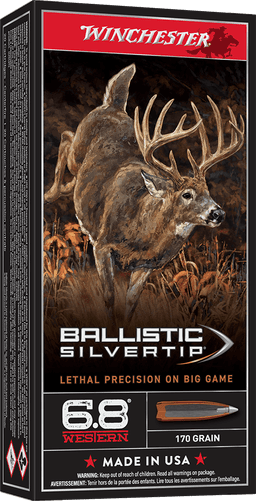 Winchester Ballistic Silvertip