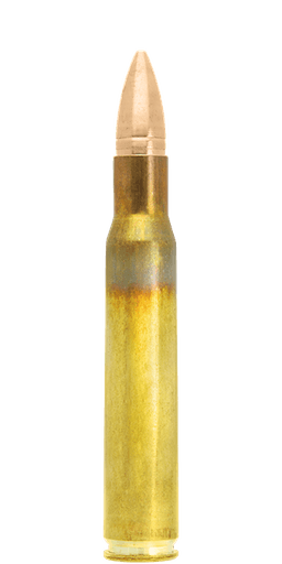 Lapua FMJ