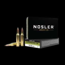Nosler Expansion Tip