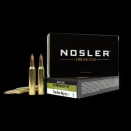 Nosler Expansion Tip