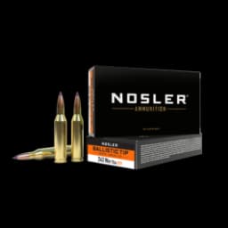 Nosler Ballistic Tip Varmint