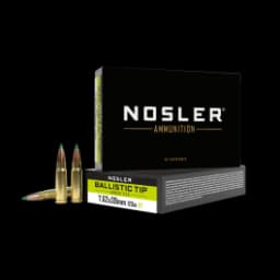 Nosler Ballistic Tip Hunting