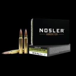Nosler Expansion Tip