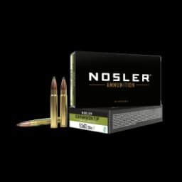 Nosler Expansion Tip