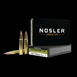 Nosler Expansion Tip