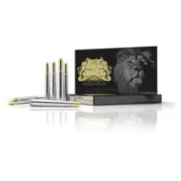 Nosler Trophy Grade Safari