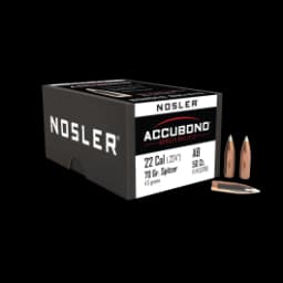 Nosler AccuBond