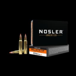 Nosler Ballistic Tip Varmint