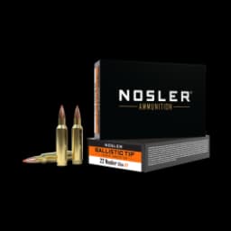 Nosler Ballistic Tip Varmint