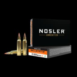Nosler Ballistic Tip Varmint