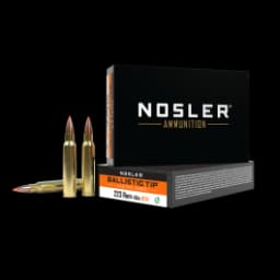 Nosler Ballistic Tip Varmint